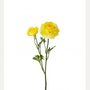Ranuncel 45cm