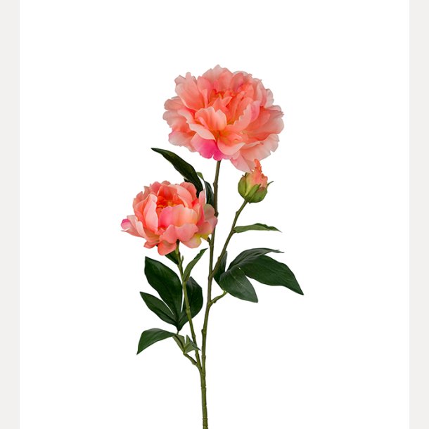 Pion Orange 75 cm