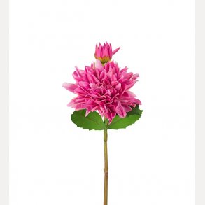 Dahlia 70cm