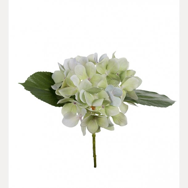 Hortensia 25cm