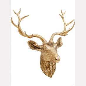 Hjortehode gullfarget