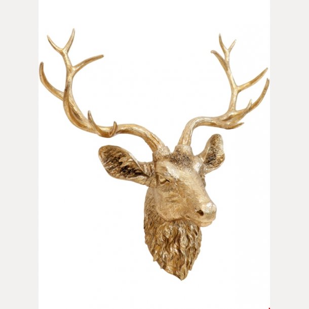 Hjortehode gullfarget