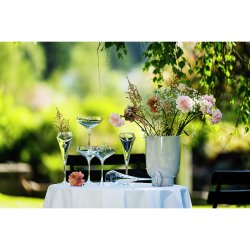 Chef &amp; Sommelier - Open Up - Champagneglass 300 ml