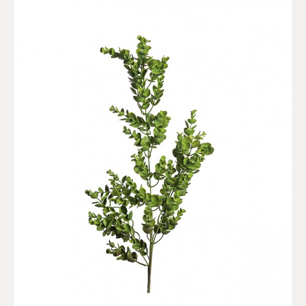 Eucalyptus 95 cm