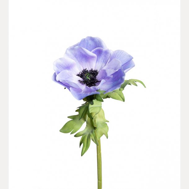 Anemon 43cm