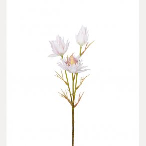 Blushing Bride 40 cm