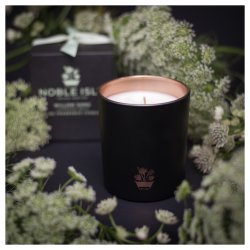 Willow Song Fine Fragrance Candle