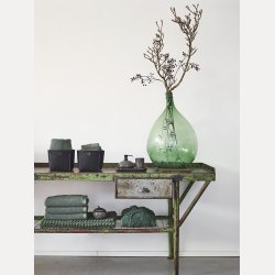  Ugo spedispenser Forest