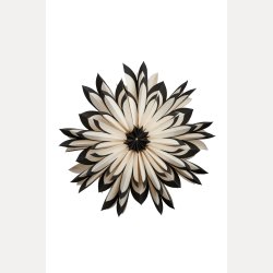 Freja julestjerne 60