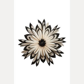 Freja julestjerne 60