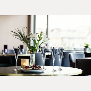 Glass, karafler & barutstyr